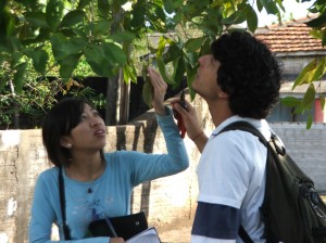 Yves Rafael Bovolenta e Maristela Yuka Zama fazendo identificação de uma árvore.