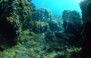 Infiltrações vulcânicas em Papua Nova Guiné simula emissão de CO2 na atmosfera: recifes de corais podem desaparecer com oceanos mais ácidos (Foto: Katharina Fabricius/Australian Institute of Marine Science)