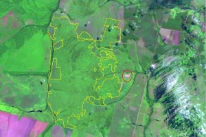 Imagem do Inpe mostra, marcada com linha amarela, o alerta de desmatamento na Terra Indígena Maraiwatsede. O círculo vermelho, acrescentado pelo Globo Natureza, indica a localização da aldeia xavante. (Foto: Inpe/Divulgação)