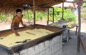 Produção de farinha em comunidade da reserva extrativista Tapajós-Arapiuns, no Pará (Foto: Divulgação/ICMBio)